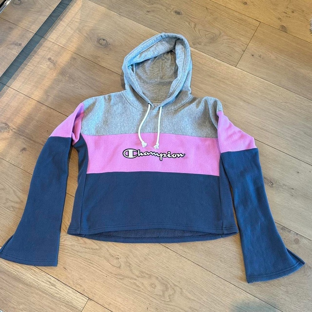 Multicolor champion sweatshirt